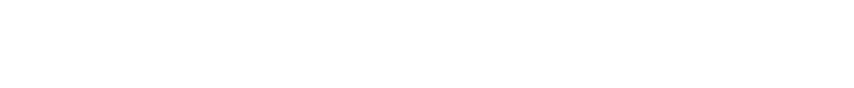 .BOSYS | from Travelsoft